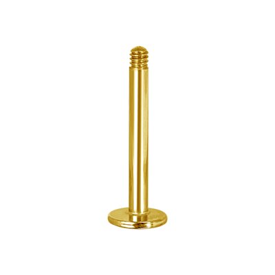 Tige de labret plaqué or 24k