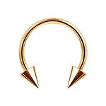 Barbell circulaire plaqué or 24k