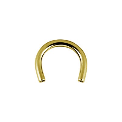 Tige de barbell circulaire interne en titanium plaqué or 24k