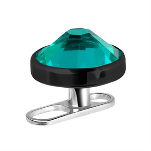 Titanium long hole dermal anchor with black jewelled disc