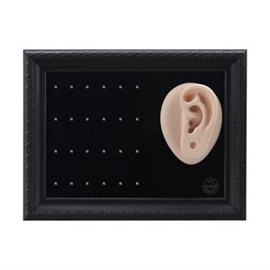 24pcs tattooable ear display for daith clickers