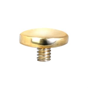 18k gold internal disc