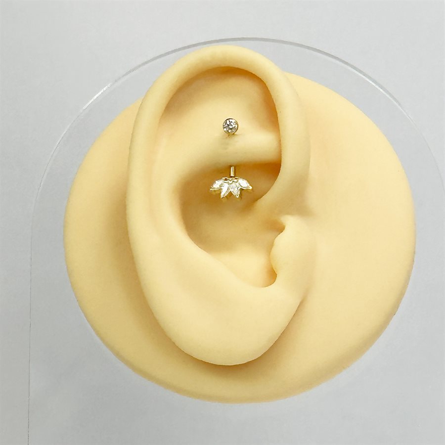 Gold plated threadless rook banana with 18k gold attachment